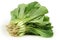 Small Chinese Cabbage