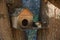 Small chipmunk takes food near a feeder in outdoors