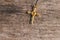 Small Christian golden cross on rustic wooden background