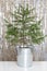 Small Christmas festive fir tree in silver metal bucket on the tinsel foil fringe background