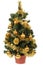 Small christmas tree in pot with yellow balls