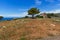 Small church and land in Zakynthos City, Greece