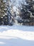 Small church, snowy fir trees, winter, tracks in the snow