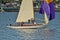 Small classic yacht sailing with spinnaker in Waitemata Harbor