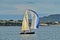 Small classic yacht sailing with spinnaker in Waitemata Harbor