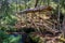 Small colorful covered wooden bridge - Parque Arvi, Medellin, Co