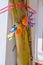 Small colorful fish and shrimp handmade weave by nylon. Decoration on banana tree for buddism charity festival in thailand. no peo