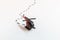 Small colorful helicopter toys isolated on a white background - air travel by helicopter concept