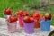 Small colorful toy buckets full of red strawberry