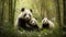 A small, compassionate group envelops and comforts injured panda cubs beneath the verdant canopy.