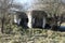 Small concrete military bunker . World War II. Slovak Republic