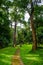 Small concrete trail in national park