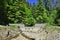 Small concrete weir at mountains stream, Beskid Sadecki, Poland