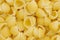 Small cooked shell pasta background