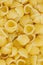 Small cooked shell pasta background