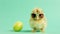 small Cool chick in sunglasses with Easter egg on green background