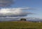 A small copse of Trees with their foliage changing to Autumn Colours in gently rolling Farmland.