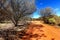 Small country road in hot Australian outback