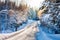 Small country road in winter with sunshine on snowy trees