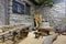 The small courtyard of Chinese rural families