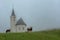 A small cow herd feeding near a church in Autum