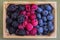 Small crate wiA small crate of berries - raspberries, blackberries and th flat nectarines, cherries, blueberries and blackberries.