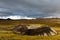 Small crater volcano cone in Iceland IS Europe