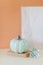 Small cream and teal pumpkin on orange background.