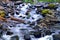 SMall creek close to Multnomah Falls Oregon