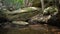 Small creek flowing in the australian bush