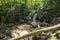 Small creek with many waterfalls in the middle of forest