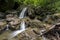 Small creek with many waterfalls in the middle of forest