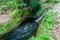 Small creek in National Park El Imposible, El Salvad