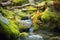 a small creek running through moss-covered rocks