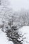 Small creek and tree covered in snow, Japan