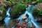 Small creek waterfall in a beautiful deciduous autumn forest