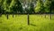 Small cross gravestones in a row