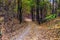 Small curved road in autumn forest under hill, Bratislava, Slovakia