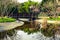 Small and cute bridge made of wood in a botanical park.