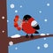 Small cute bullfinch sits on a tree branch and holds rowan berries