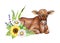 Small cute calf with flower decor. Watercolor hand drawn illustration. Cute baby cow with spring daisy flowers