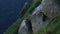 Small and cute European seabirds Atlantic puffins, Fratercula arctica noving on a cliff