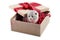 Small cute fluffy kitten decorated cardboard box being present for special occasion