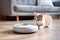 a small cute fluffy kitten watches a robot vacuum cleaner cleaning a light parquet floor in a modern living room in a minimalist