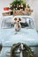 Small and cute Jack Russell Terrier dog sits on the hood of blue retro car with Christmas gifts on the roof. Classic