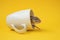 Small cute mouse in cup