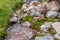 The small cute stream flows between green moss and stones in Fann mountains in Tajikistan