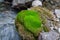 The small cute stream flows between green moss and stones in Fann mountains in Tajikistan