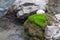 The small cute stream flows between green moss and stones in Fann mountains in Tajikistan