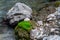 The small cute stream flows between green moss and stones in Fann mountains in Tajikistan